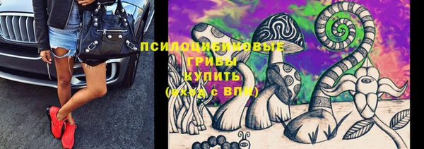 соль курить ск Гусь-Хрустальный